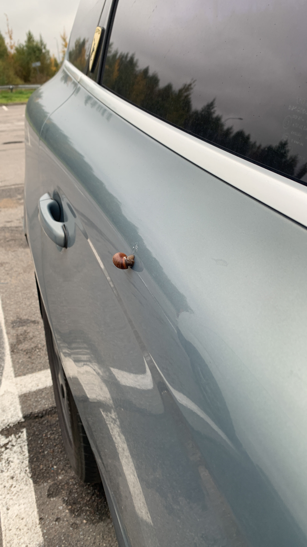 Периодичность замены ремня ГРМ — Volvo XC60 (1G), 2,4 л, 2009 года ...