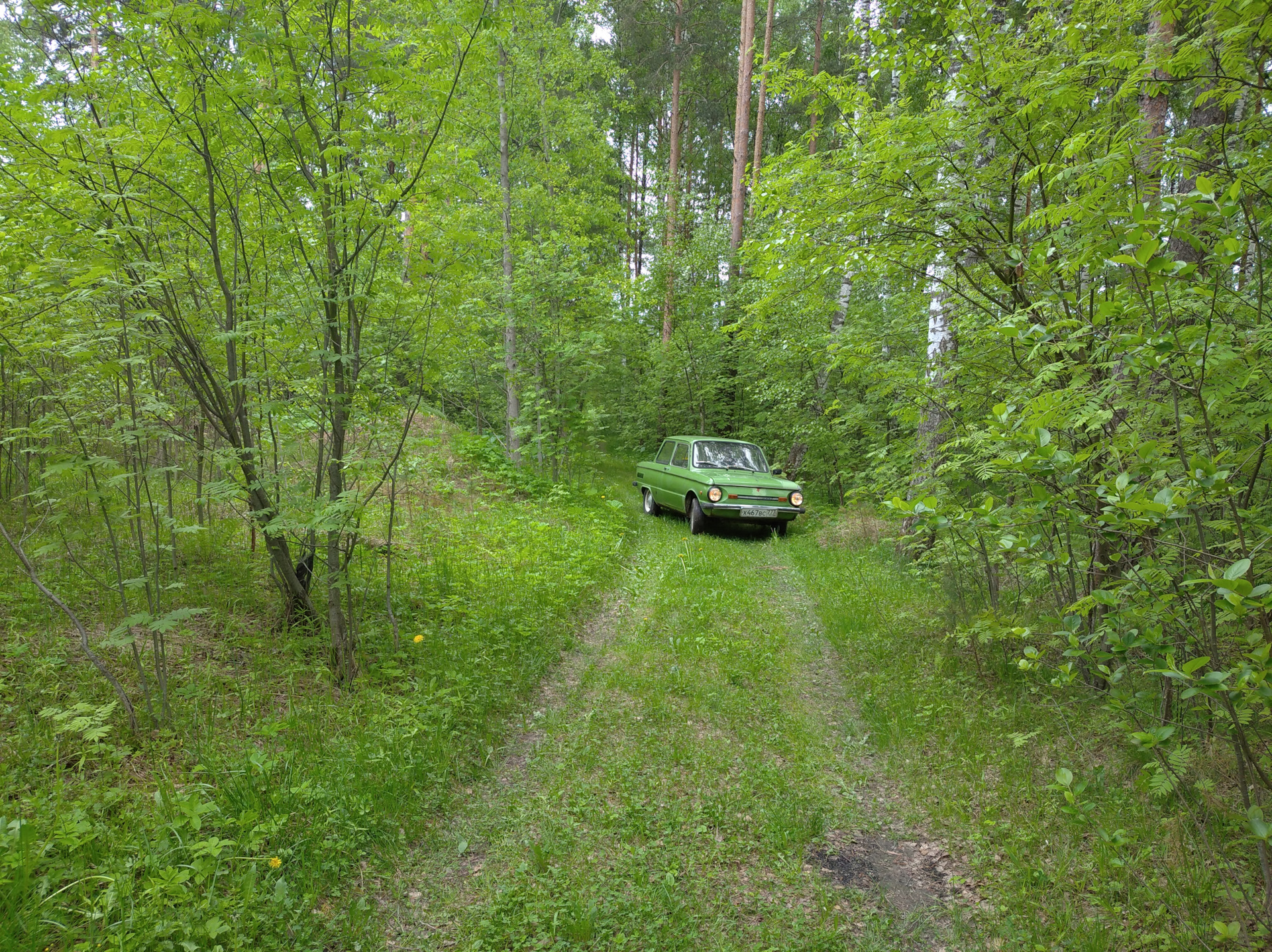 Забыл ручник… Мойка, покатушки и просто фотки — ЗАЗ 968, 1,2 л, 1982 года |  покатушки | DRIVE2