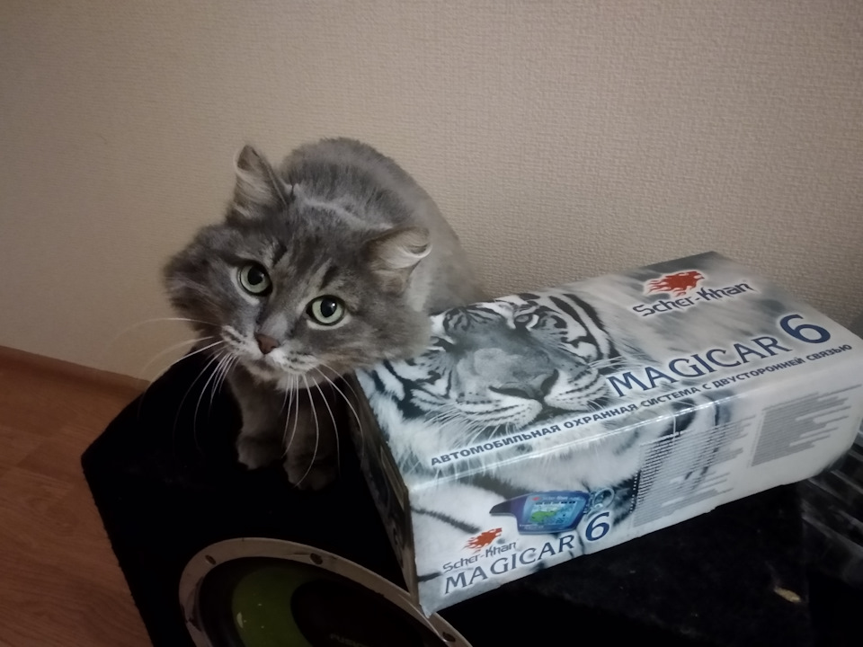 Новая сигнализация с обратной связью для Газельки… — ГАЗ Газель, 2,9 л ...