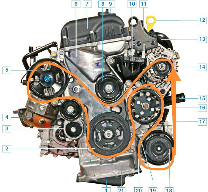 схема приводного ремня 2tr fe