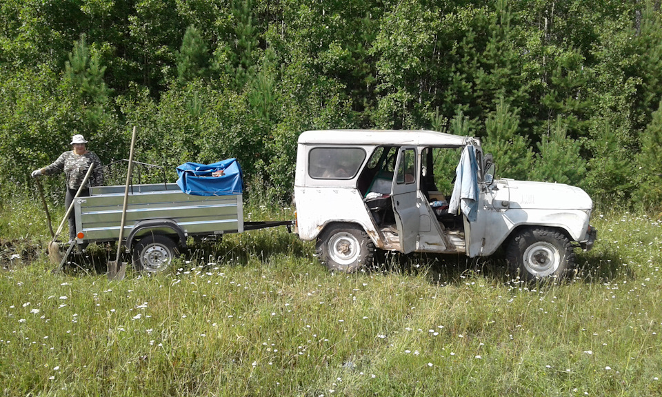 Газель греется на ходу