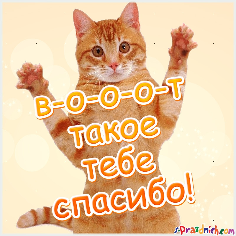 Открытки, картинки с благодарностью за помощь мужчине
