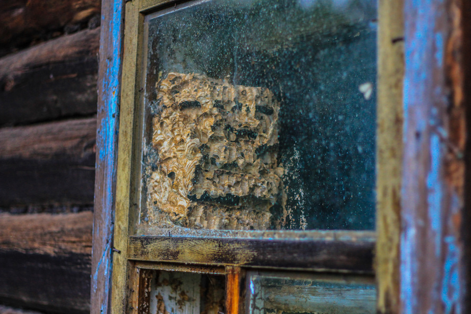 Фото в бортжурнале Jeep Cherokee (XJ)