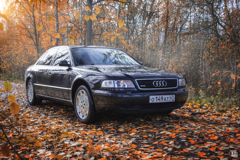 Фото в бортжурнале Audi A8 (D2)