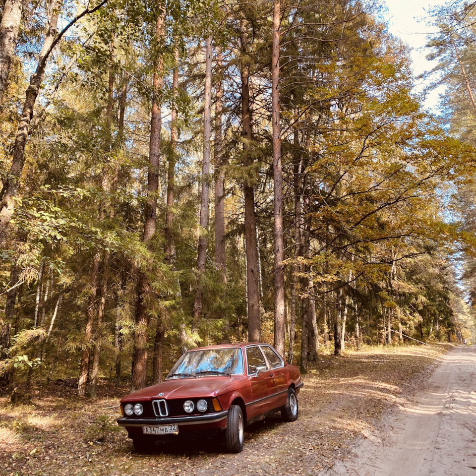 Молодость на BMW — BMW 3 series (E21), 1,8 л, 1978 года | продажа машины |  DRIVE2