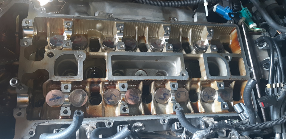 Шлифовка и и сборка стаканов — Ford Focus Sedan II