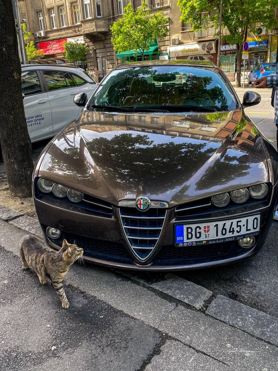 1 Итальянская повозка на Балканах. Покупка авто в Сербии — Alfa Romeo 159  Sportwagon, 2,4 л, 2008 года | покупка машины | DRIVE2