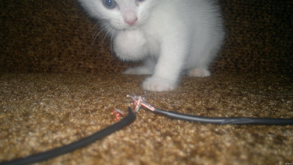 *119. Не работает топливный насос. Не качает. Свечи зажигания не ...