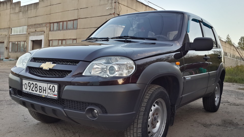 Нива барнаул. Нива Шевроле слива. 2123 Дикая слива. Chevrolet Niva 2011 гос номера.