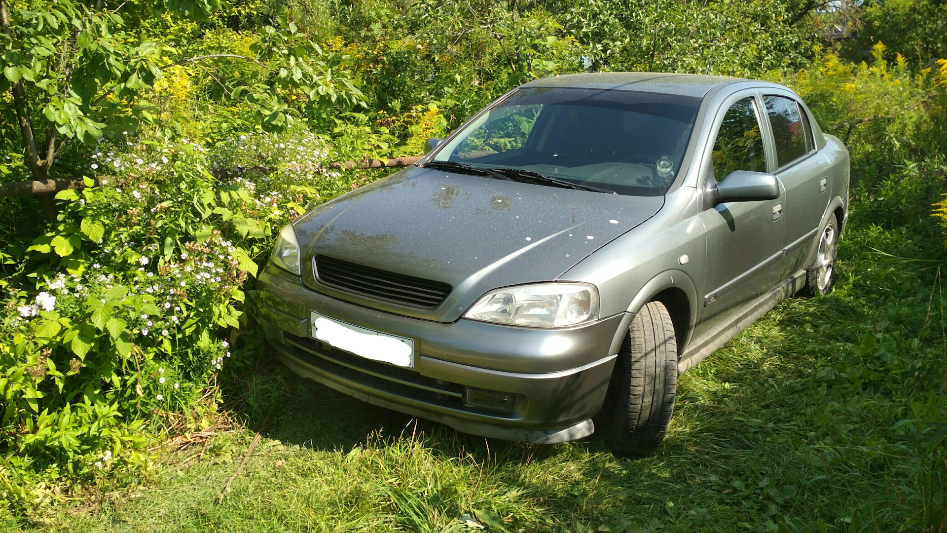 Шевроле вива. Chevrolet Viva. Chevrolet Viva 1.8. Chevrolet Viva 1.6. Шевроле Вива 2007 1.8.