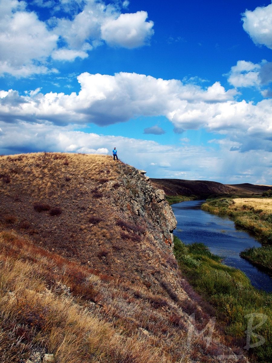 Ириклинское водохранилище фото природы