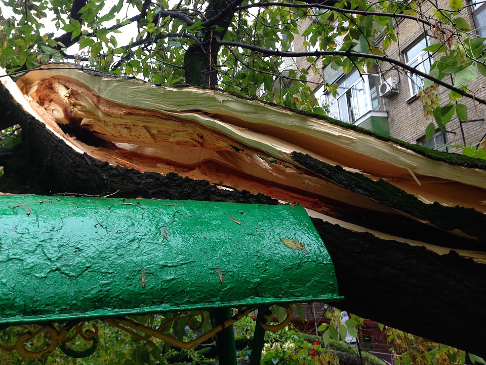 Фото в бортжурнале Land Rover Range Rover Evoque (1G)