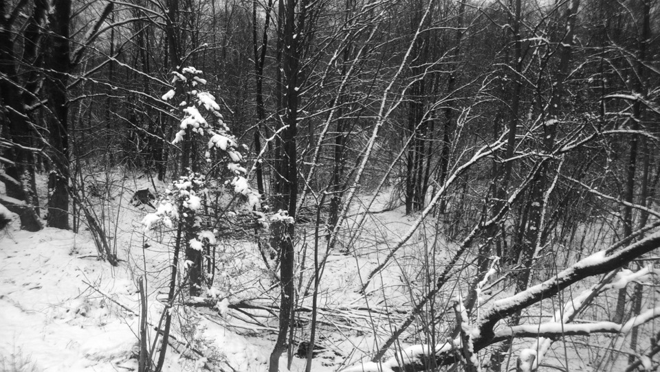 фотки — УАЗ 452, 2,4 л, 1982 года | просто так | DRIVE2