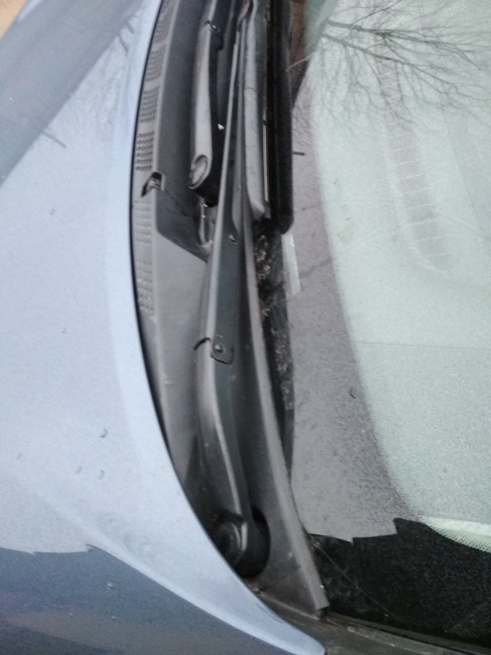 Уплотнитель панели воздухозаборника у лобового стекла — KIA Ceed SW (2G ...