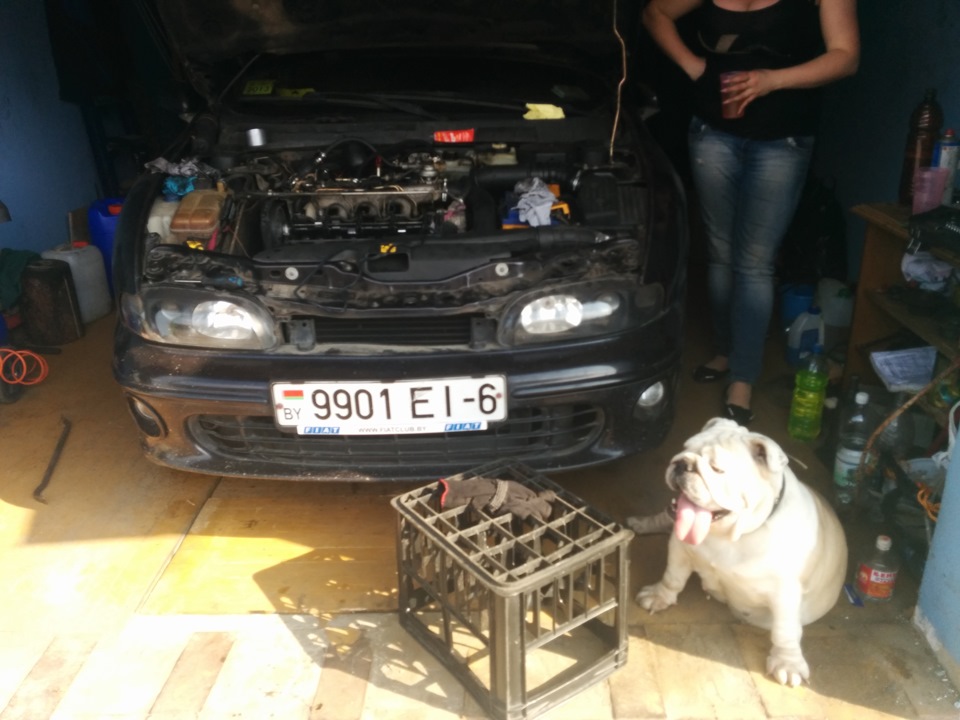 Замена прокладки под клапанной крышкой — FIAT Marea, 1,9 л, 1998 года ...