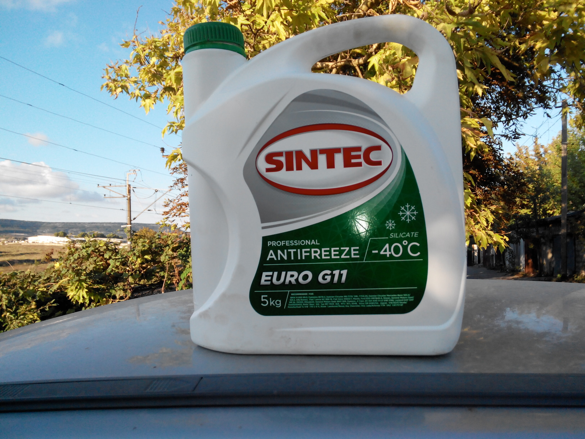 Антифриз 11. Sintec Euro g11. Антифриз Синтек евро g11 этикетка. Sintec Euro g11 концентрат. Антифриз Sintec Euro g11 10 кг.