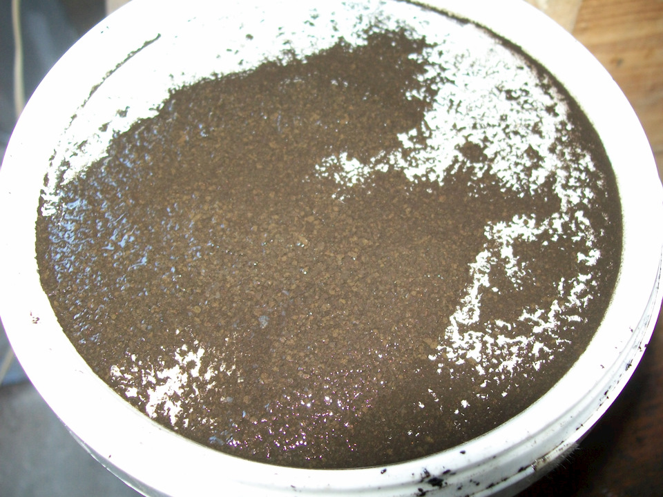 …вот — Ford S-Max (1G)