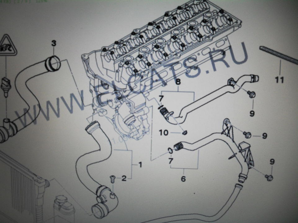 Прокачка системы охлаждения bmw e46