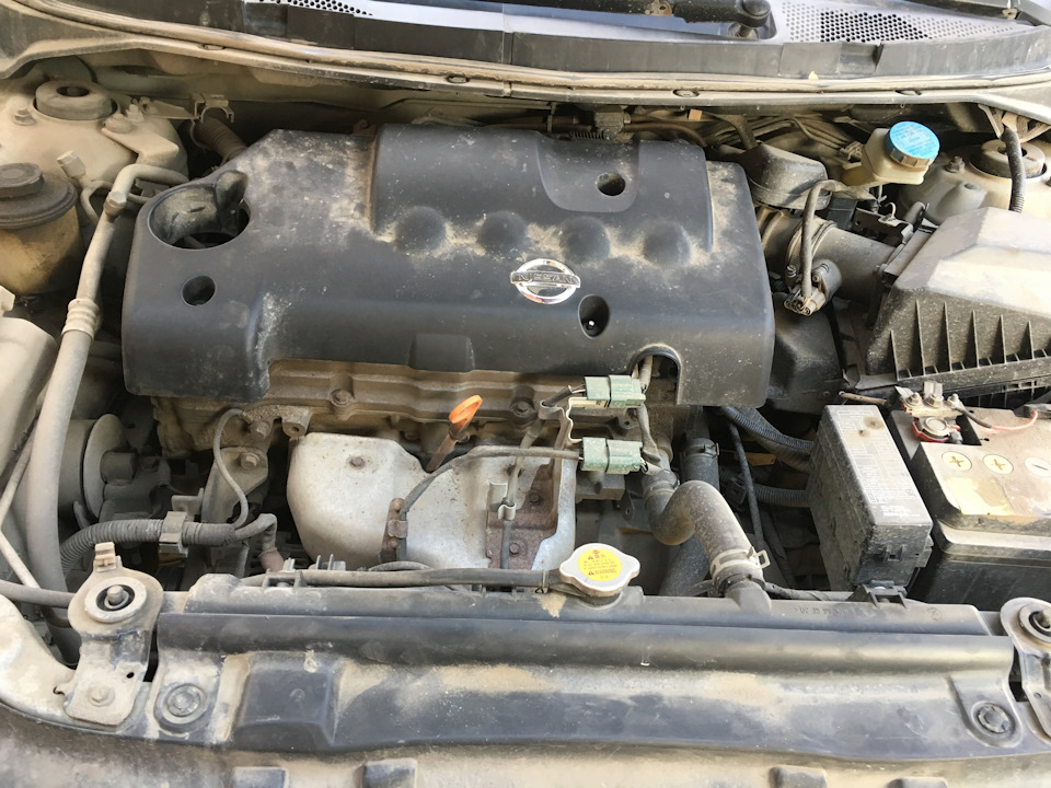 Встретили Юбилей — Nissan Primera (P12), 1,8 л, 2004 года | своими ...