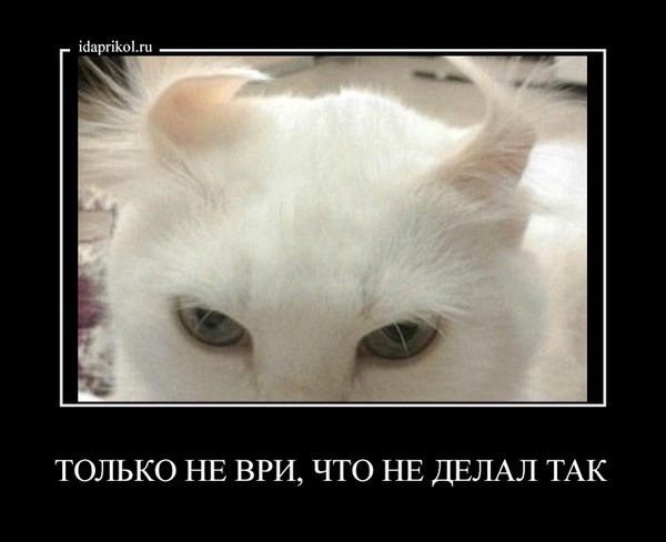 плиточным только не ври картинки методики механизмы самодельных