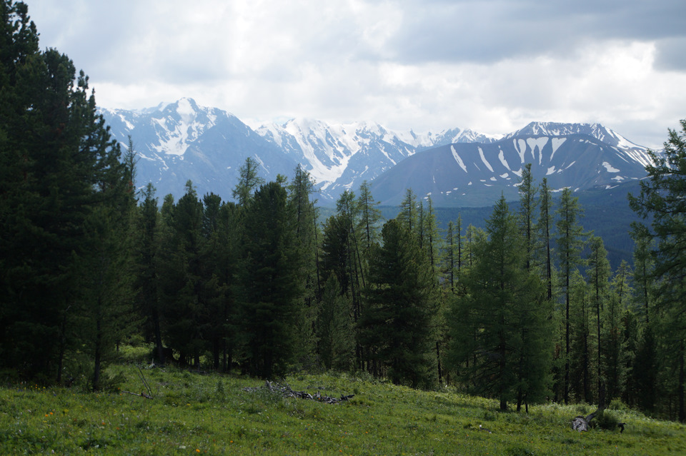 Такие виды нам открылись с вершины. — УАЗ Pickup