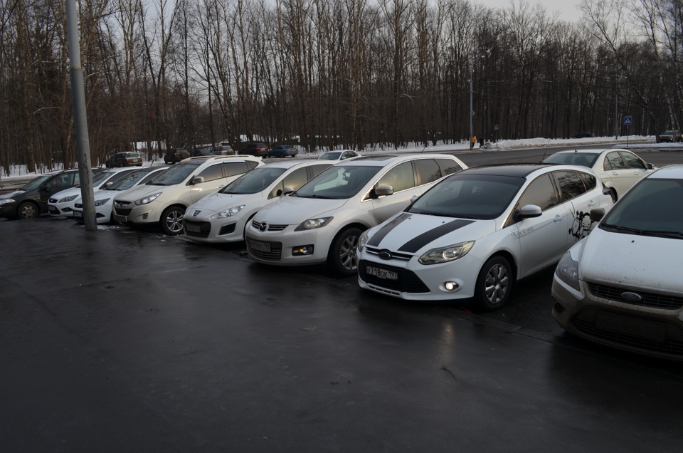Встреча белых — Ford Focus Sedan II, 2 л, 2010 года | встреча | DRIVE2