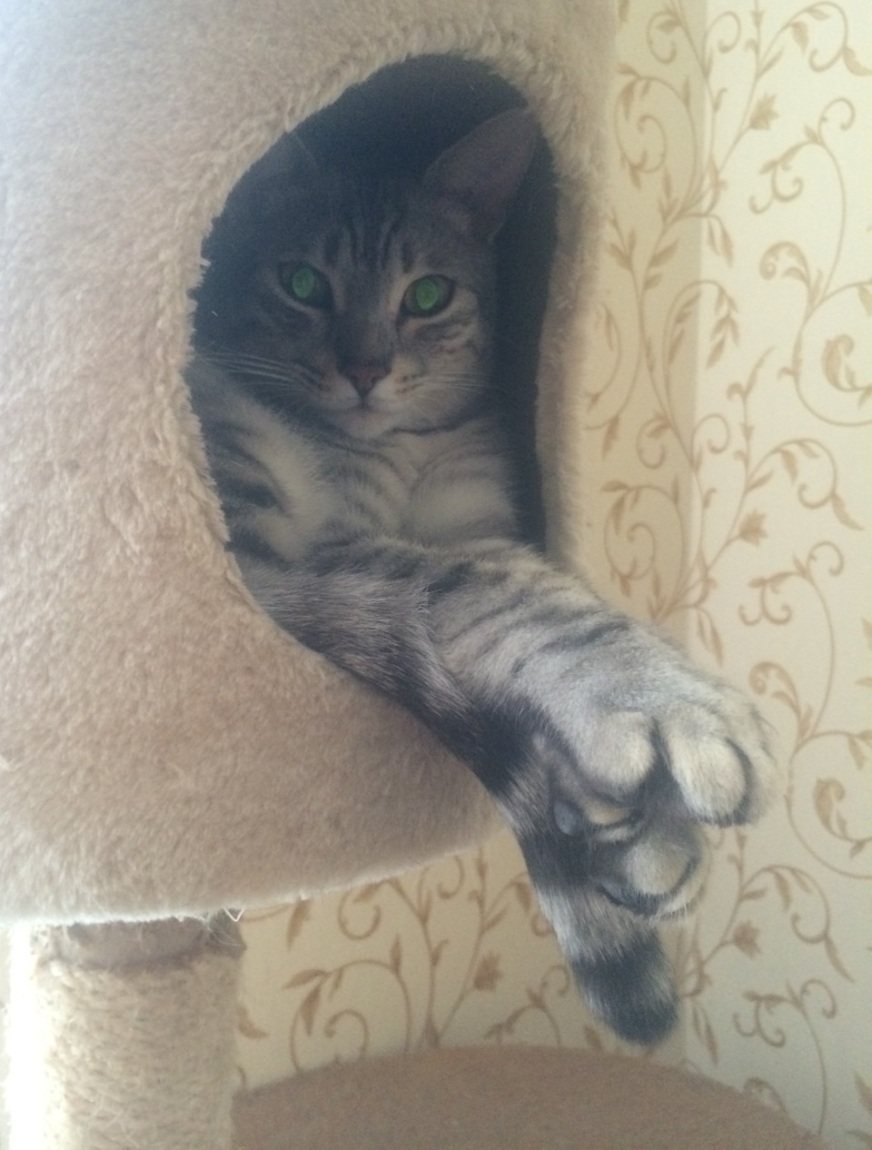 Фото в бортжурнале Suzuki Escudo (1G)