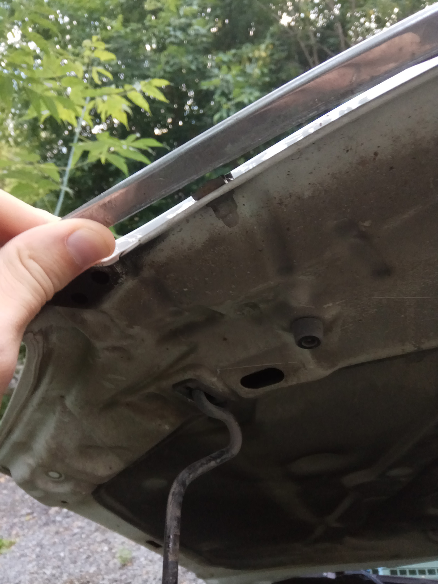 Молдинг решетки радиатора — Chevrolet Lacetti SW, 1,6 л, 2012 года ...