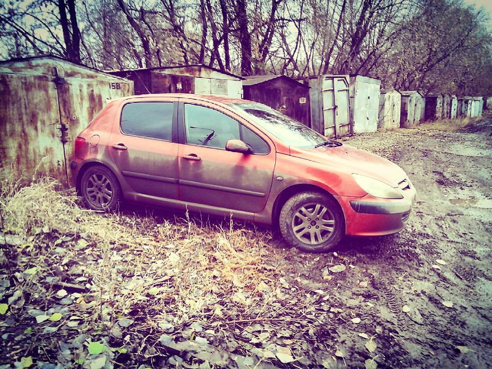 4 Льва. — Peugeot 307, 1,6 л, 2002 года | аксессуары | DRIVE2