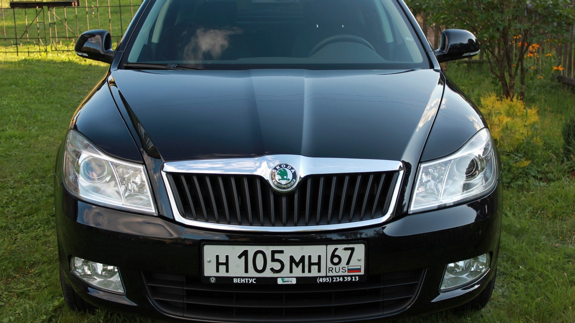 Skoda Octavia A5 Mk2 1.4 бензиновый 2011 | Corridore nero на DRIVE2