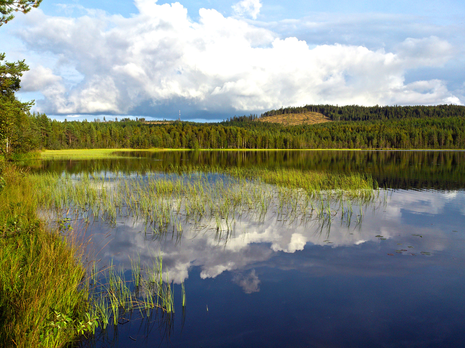 Финское озеро 5 букв. Озеро Оулуярви Финляндия. СОРТАВАЛЬСКИЕ озёра финский хронограф. Лесное озеро в Финляндии. Финляндия леса и озера.