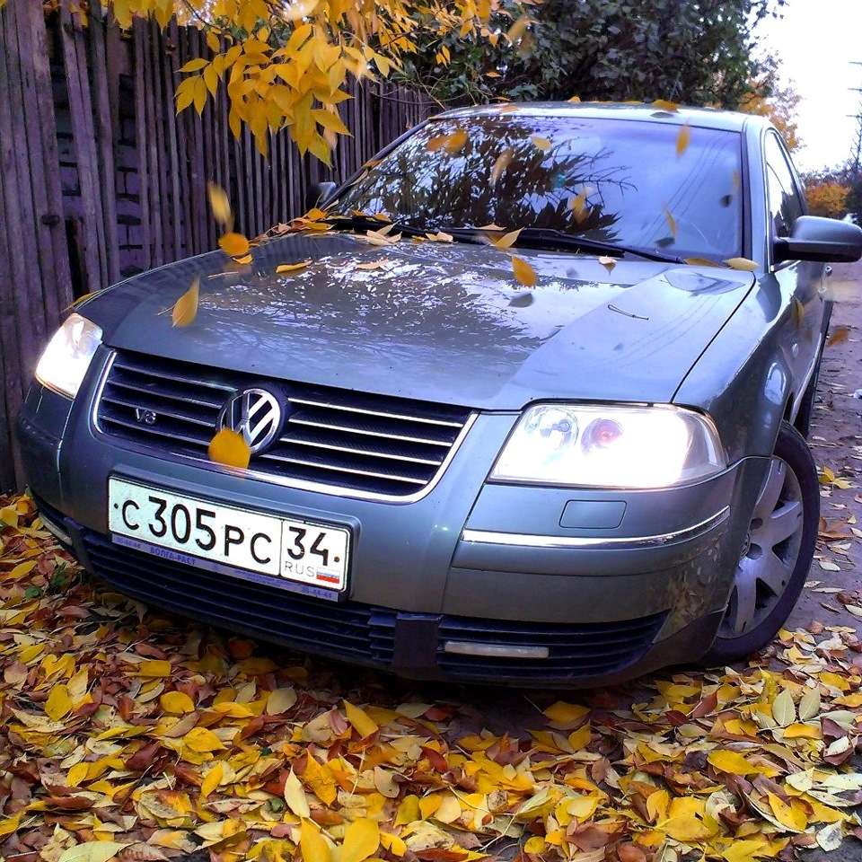 Что и почему звенит? — Volkswagen Passat B5, 2,8 л, 2001 года | поломка |  DRIVE2