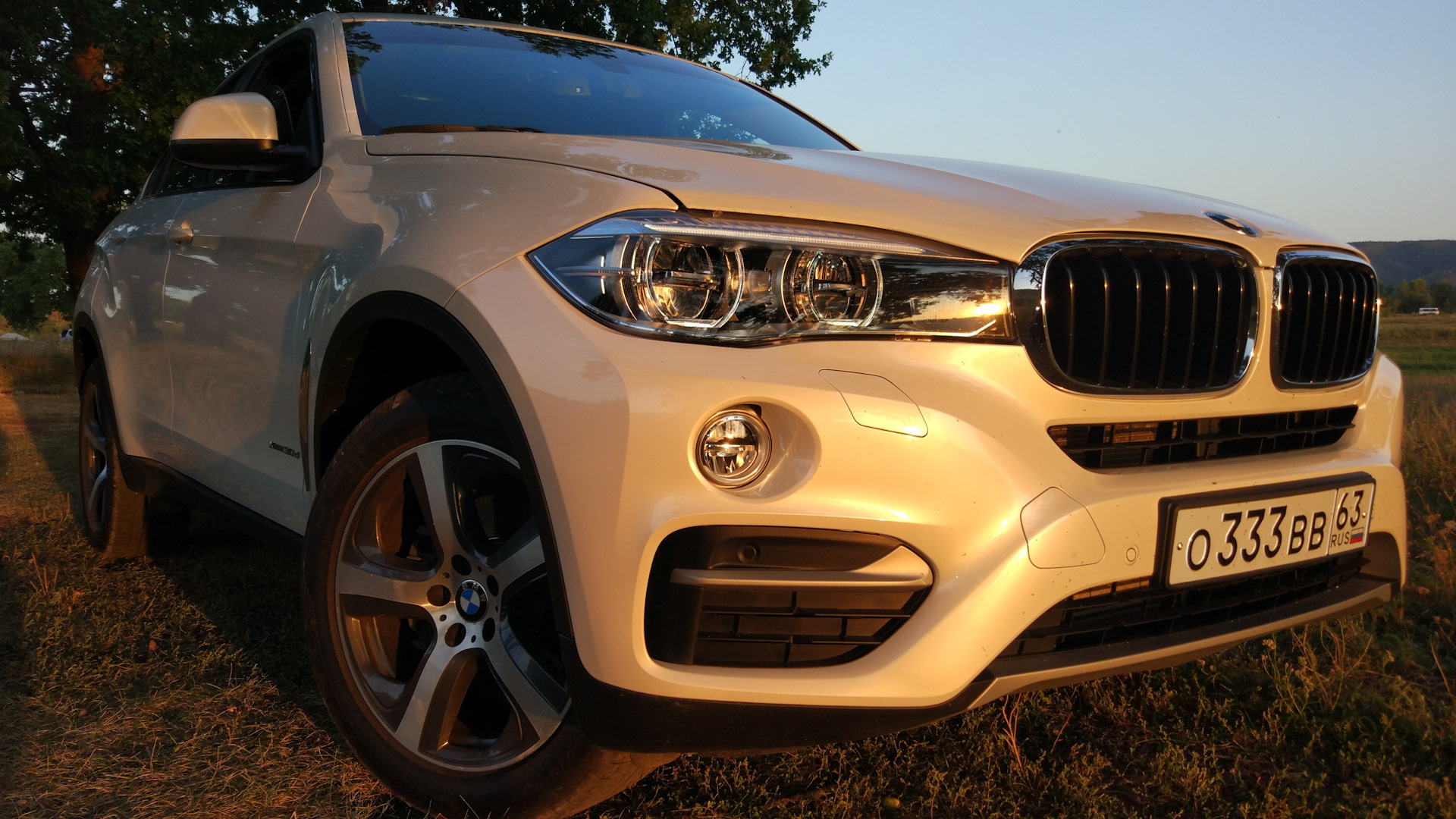 Перламутр-мой любимый цвет ! — BMW X6 (F16), 3 л, 2019 года | фотография |  DRIVE2