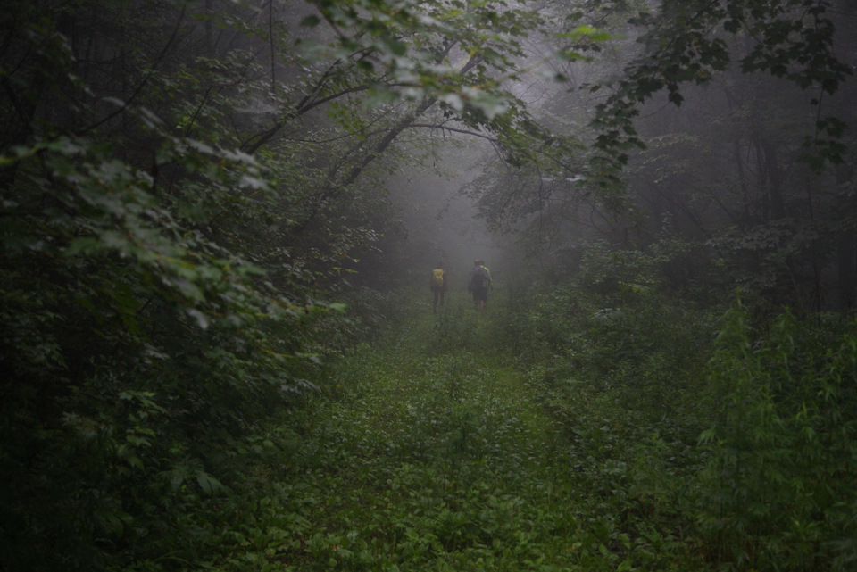 Фото в бортжурнале Toyota HiAce (H100)