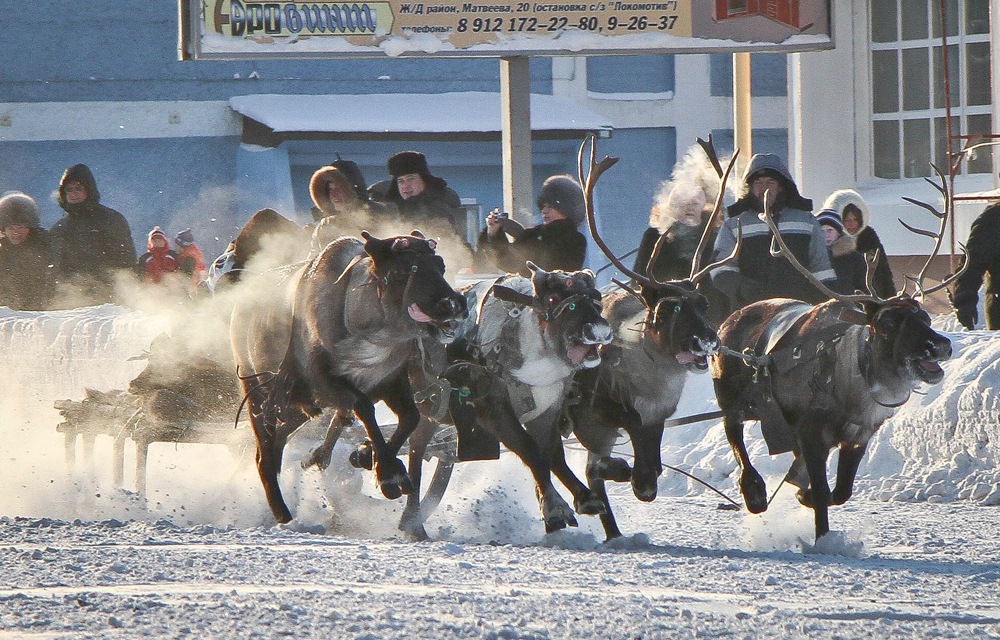 Воркута праздник севера