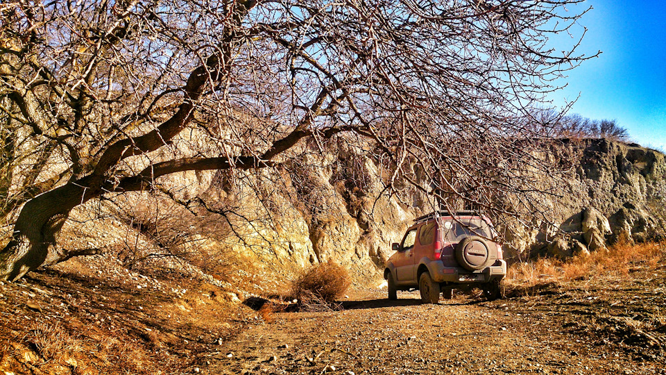 Suzuki Jimny Totoro トトロ Drive2