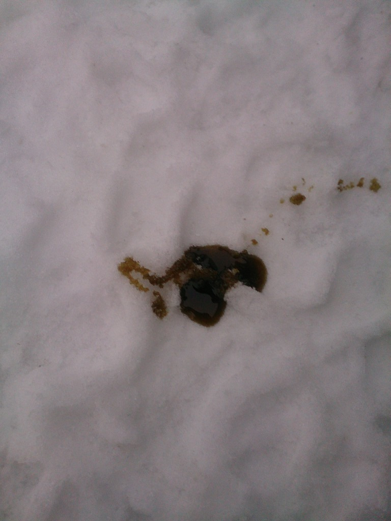 а это капнул на снег, что бы было видно что масло уже достаточно темное, и думаю стоило бы его заменить. что я и сделал. — Hyundai Sonata IV (EF)