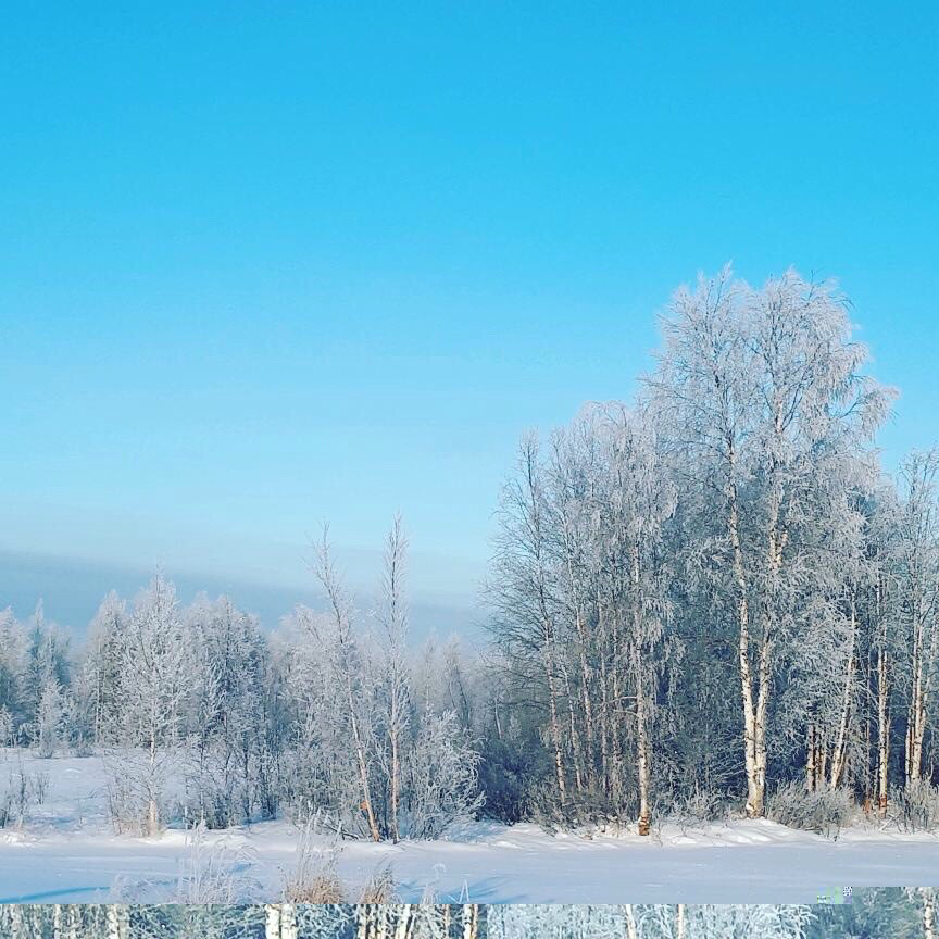 Объявление конкурса зимушка зима. Зимушка зима картинки. Конкурс здравствуй зимушка зима для детей. Зима картинки. Пейзаж зимушка зима.