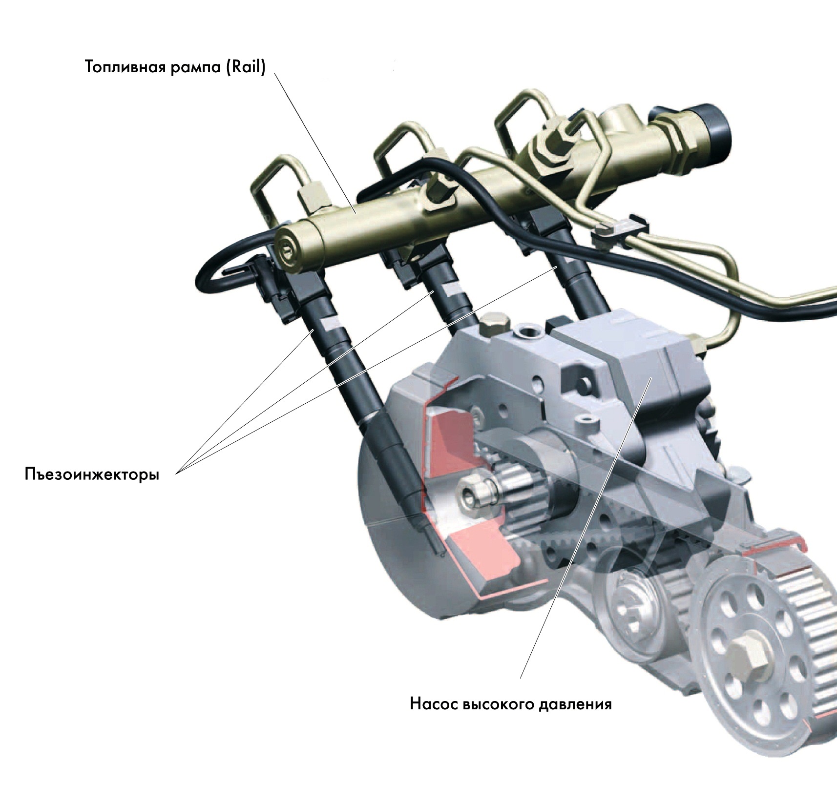 Насос коммон рейл. ТНВД Коммон рейл. Насос топлива common Rail. Топливный насос Коммон рейл Урал. Датчики топливной системы common Rail КАМАЗ.