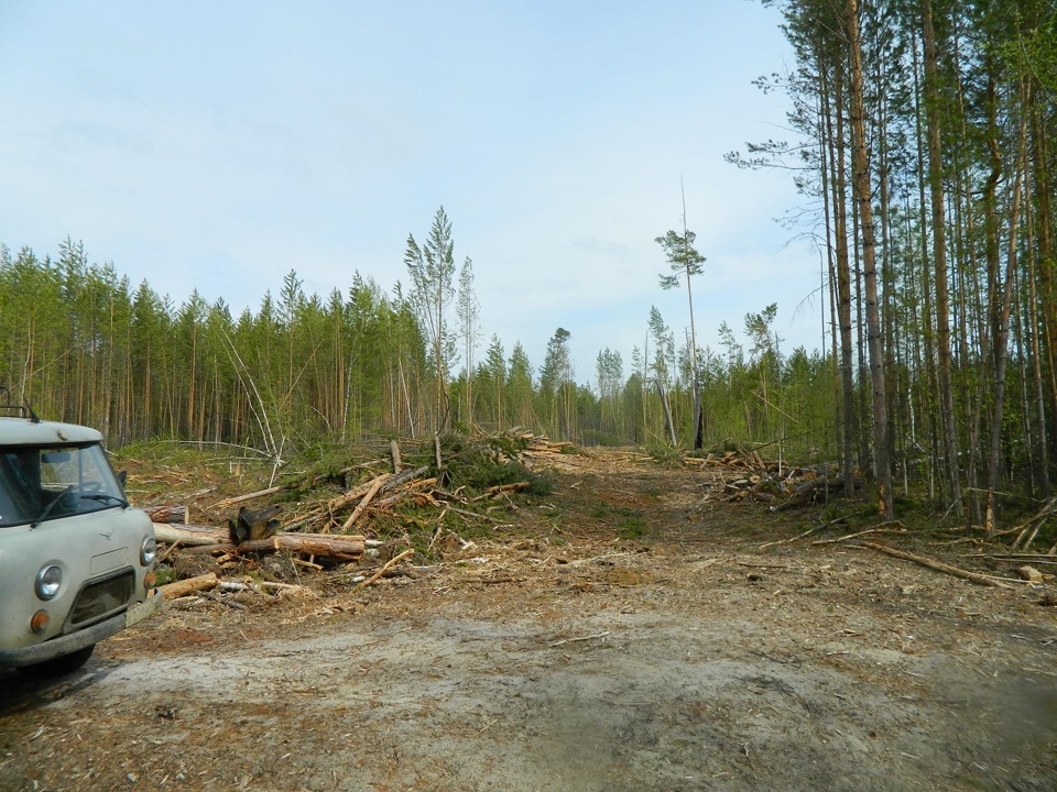 Погода катайга. Дорога Степановка Катайга. Катайга Томская область.