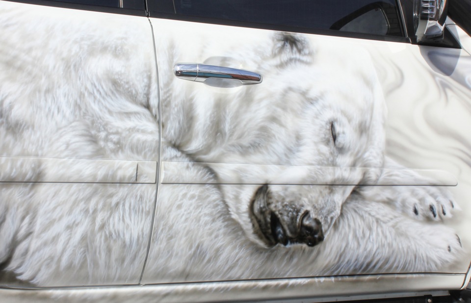 Polar Bear автомобиль