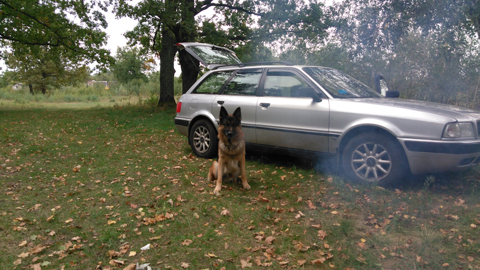 Плавают обороты — Audi 80 (B4), 1,9 л, 1994 года | своими руками | DRIVE2