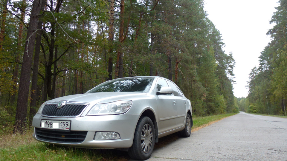 Вибрация при движении от 40-60 км/ч — Skoda Octavia A5 Mk2, 1,6 л, 2010 ...