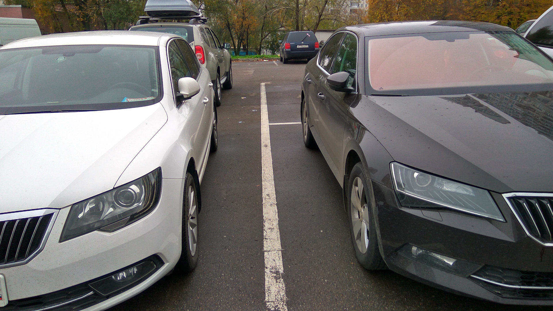 Опять сравнение двух супербов…Старый и новый…или…новый и старый — Skoda ...