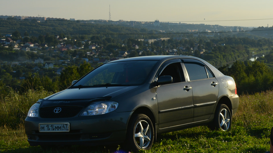 Toyota Corolla УМ