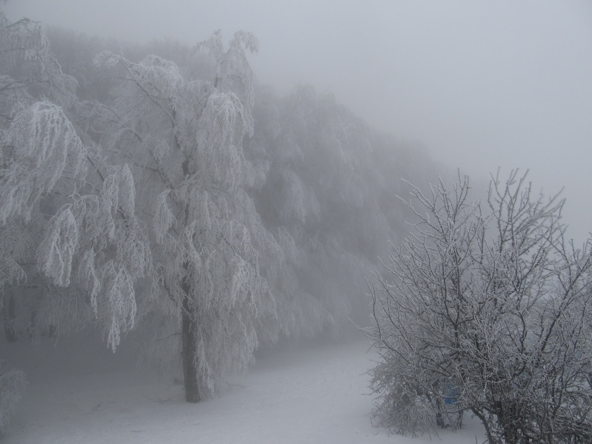 Зима в Крыму температура