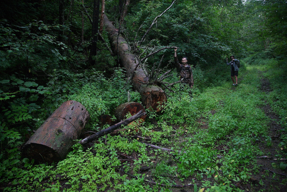 Фото в бортжурнале Toyota HiAce (H100)
