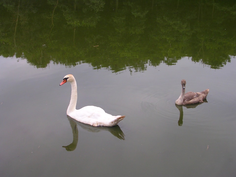 Фото в бортжурнале Opel Astra J