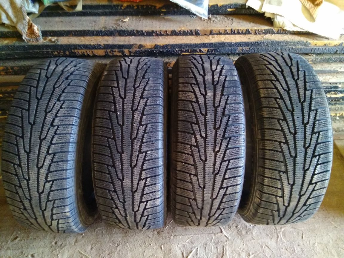 Nokian 225. Nordman rs2.