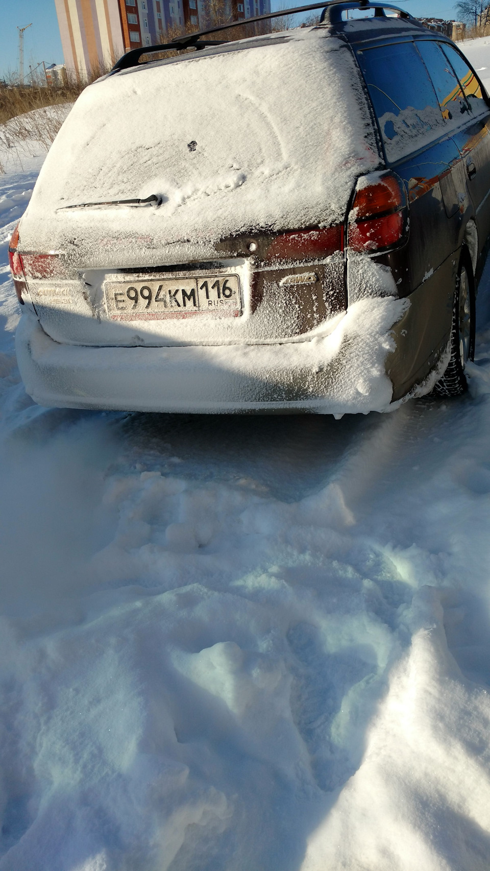 Фото Первых Дней Зимы